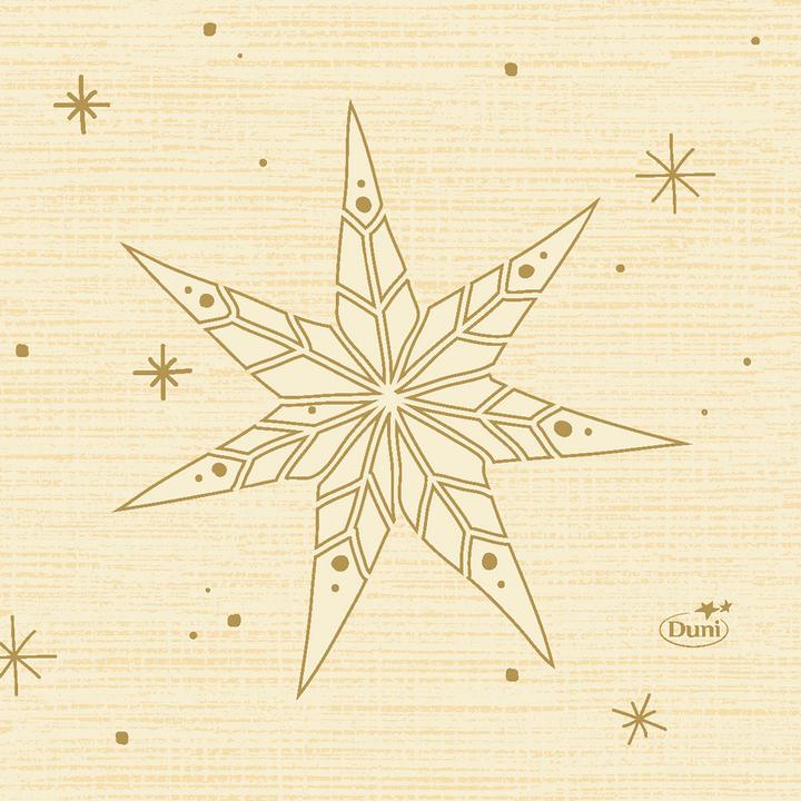 Image du produit Duni Serviettes de table (20 x, 24 x 24 cm)