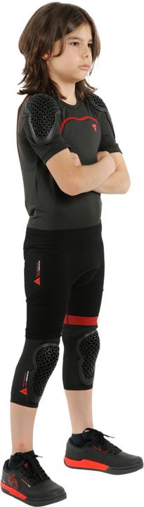 Produktbild Dainese Scarabeo Pro (M, L, Brustprotektor, Rückenprotektor, Einzelstück)