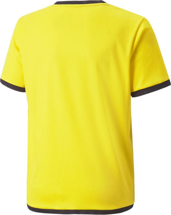 Actual product image Puma teamLIGA Jersey Jr-704925 (176)