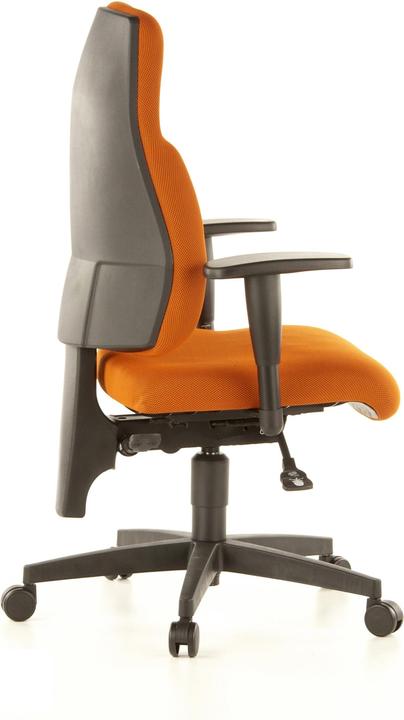 Immagine prodotto Topstar Lady Sitness