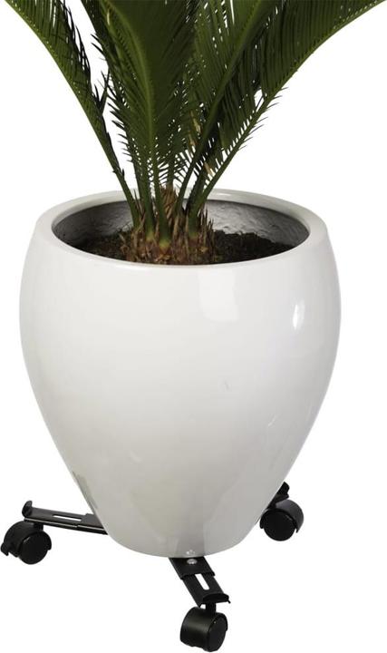 Actual product image Nature Silas