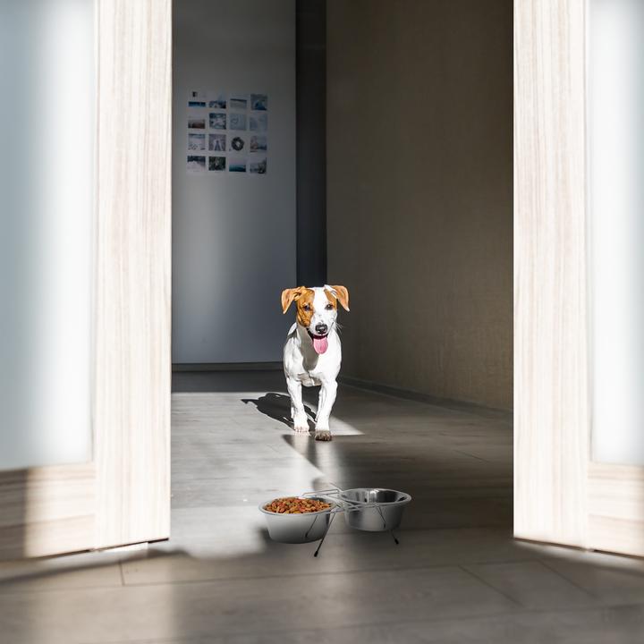 Immagine prodotto Relaxdays Ciotola per cani set doppio (0.40 l)