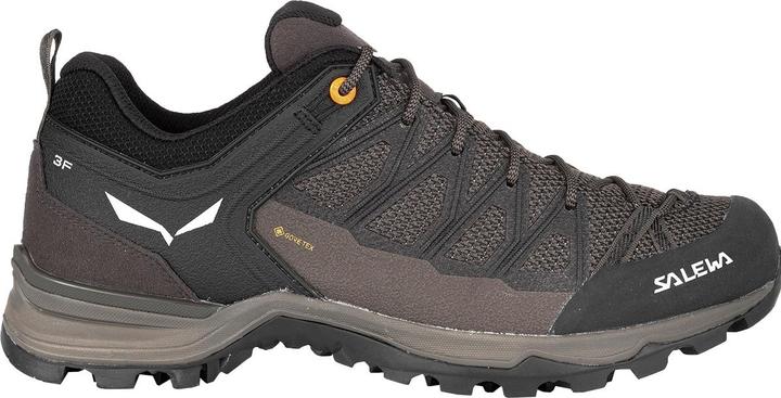 Produktbild Salewa Mountain Trainer Lite GORE-TEX (41)