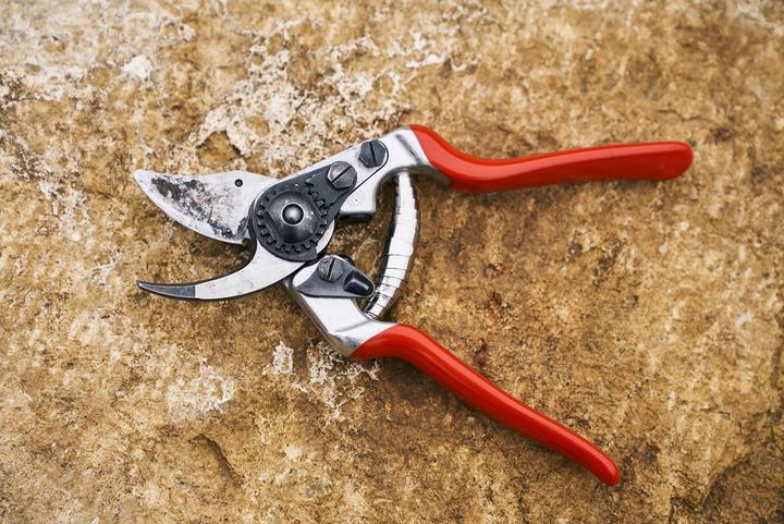Immagine prodotto Felco Cesoie da giardino 14