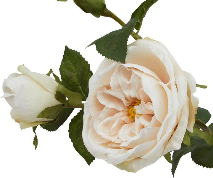 Immagine prodotto Hill Interiors The Natural Garden Collection Rosa della Carità Fiore Artificiale (58 cm)