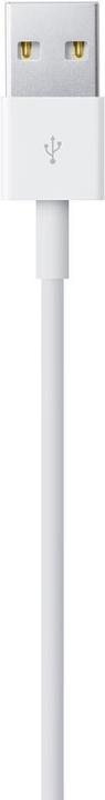 Produktbild Apple Lightning – USB A (1 m, USB 2.0)