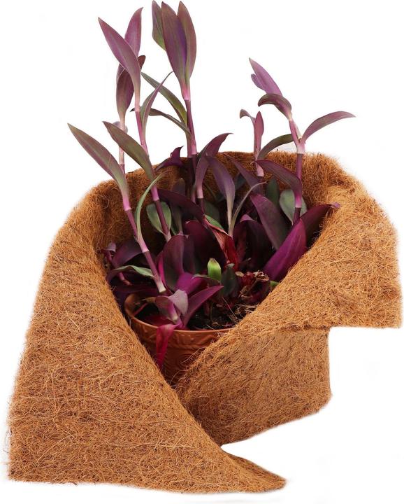Actual product image Aquagart 6m Kokosmatte Winterschutz Böschungsmatte Kokosfasermatte 800g/m² 1m breit