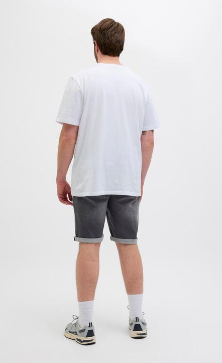 Image du produit Jack & Jones JJIRICK JJICON I.K. SHORTS GE 062 SN PLS (46)