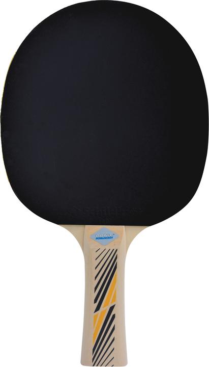 Actual product image Donic Schildkröt - TT racket LEGENDS 300