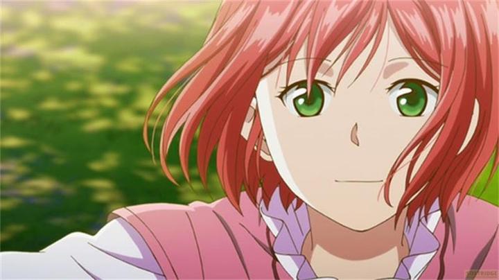 Image du produit La Princesse des neiges rousse - Edition complète (Blu-ray, 2024, Allemand, Japonais)