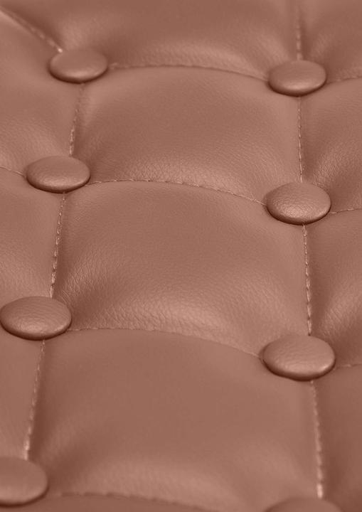 Actual product image Swisshandel24 Lounger Dublin imitation leather cognac
