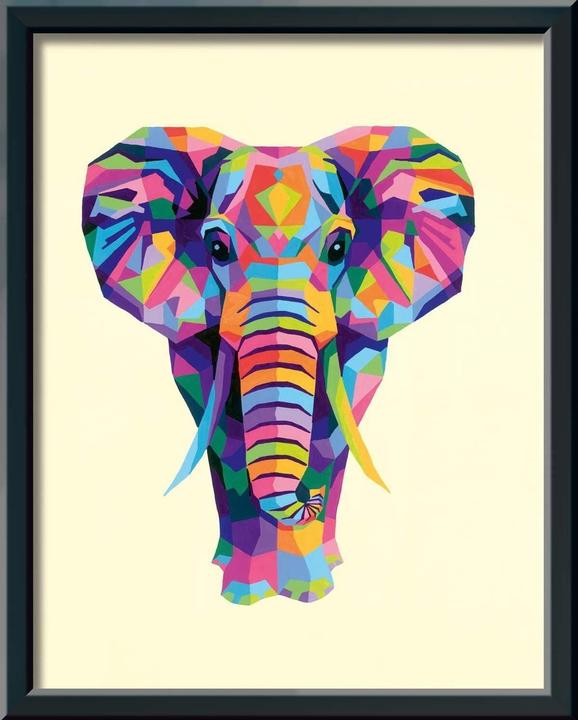 Image du produit Ravensburger Peinture par numéros 28987 - Eléphant multicolore
