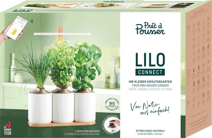 Actual product image Prêt à Pousser Lilo Connect (13.50 cm)