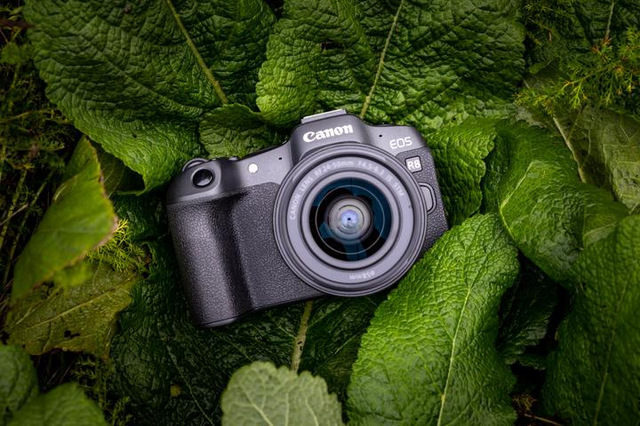 Actual product image Canon EOS R8 (EU) (24.20 Mpx, Full frame)