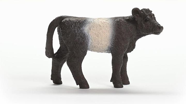 Image du produit Schleich Veau Galloway