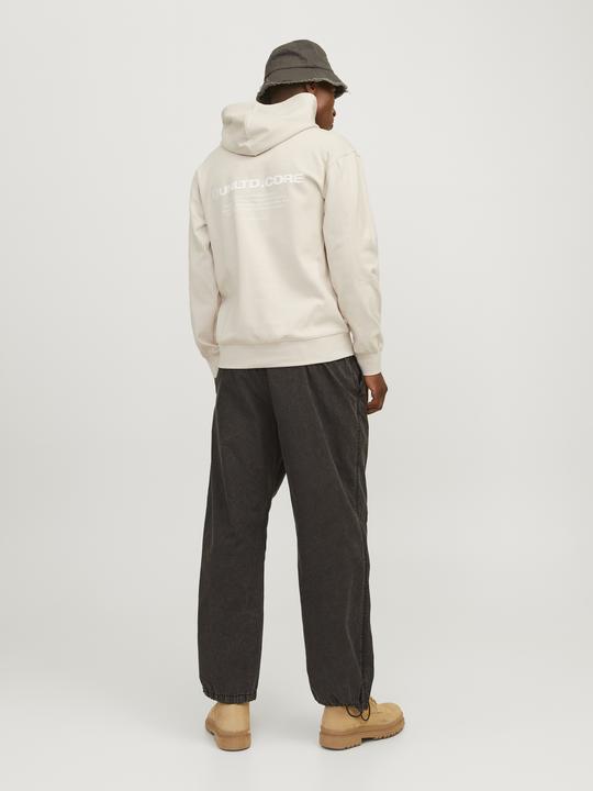 Image du produit Jack & Jones Jcoaero Print Sweat Hood Noos (L)