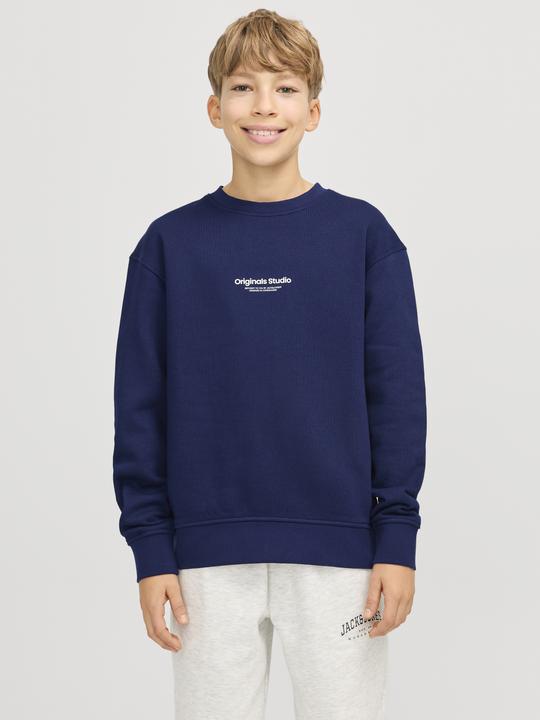 Immagine prodotto Jack & Jones Jorvesterbro Sweat Crew Neck Noos Jnr (140)