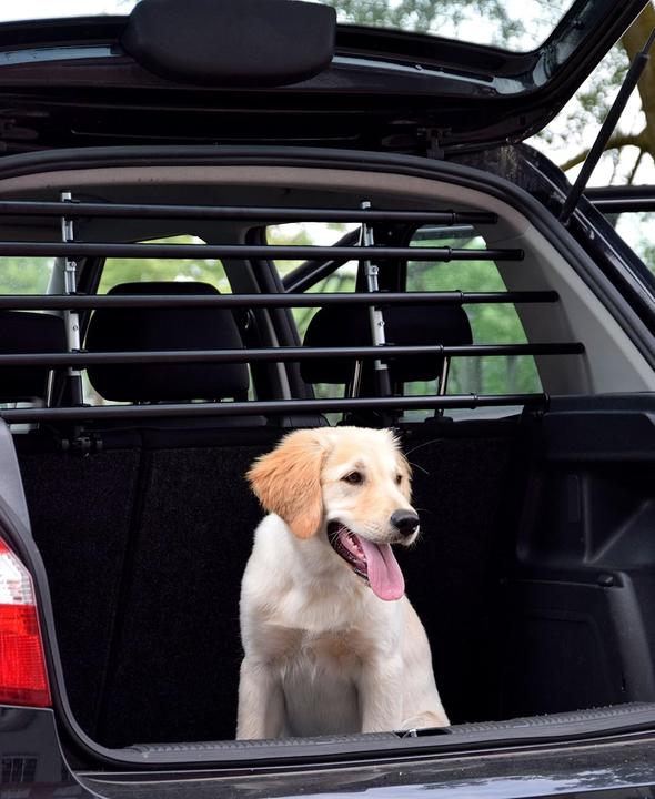 Image du produit Walky Dog Barrière de sécurité pour chien WALKY Barrier réglable 82-141 cm (Chien, Réflecteurs)