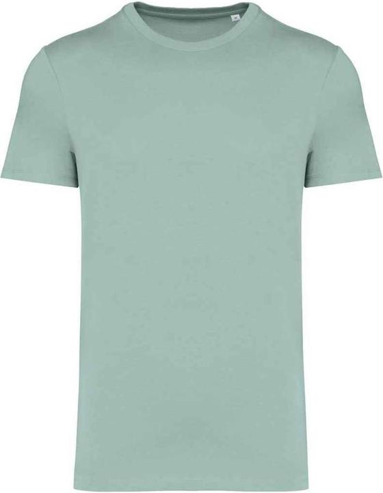 Immagine prodotto Native Spirit Maglietta Aderente Pesante Adulto Unisex (XXL)