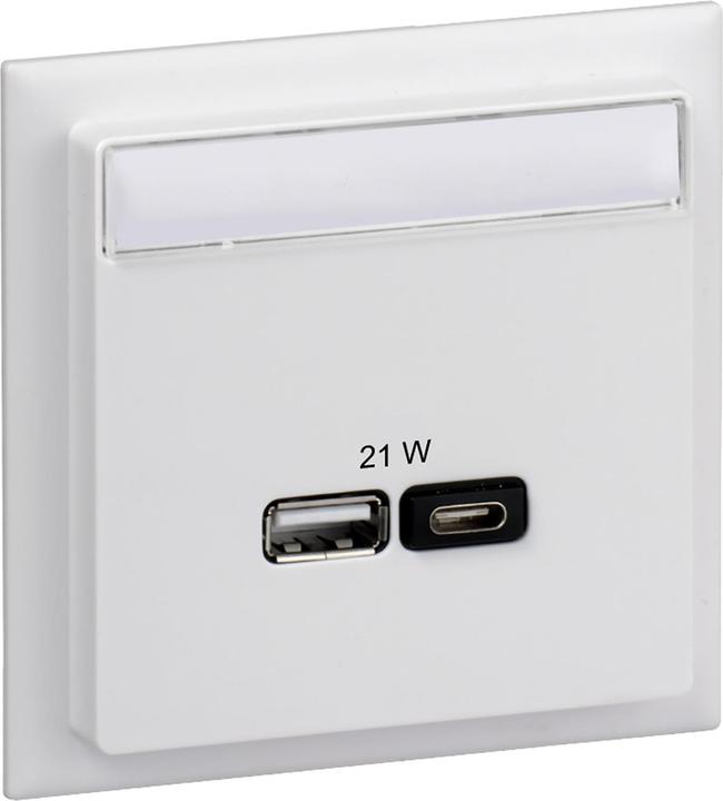 Schneider Electric SE INS60522 USB charging cradle A+C 2 outputs max. 2 cover white labelling field
