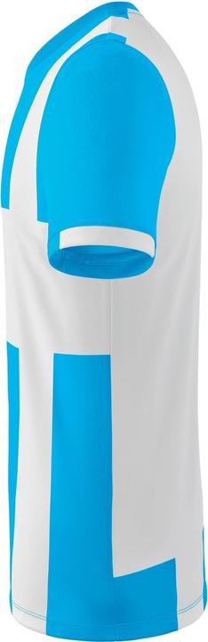 Actual product image Erima Siena 3.0 jersey (152)