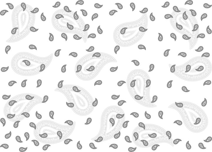 Produktbild Industyle Design Foulard / Schal im Glarner Paisley Design, weiss