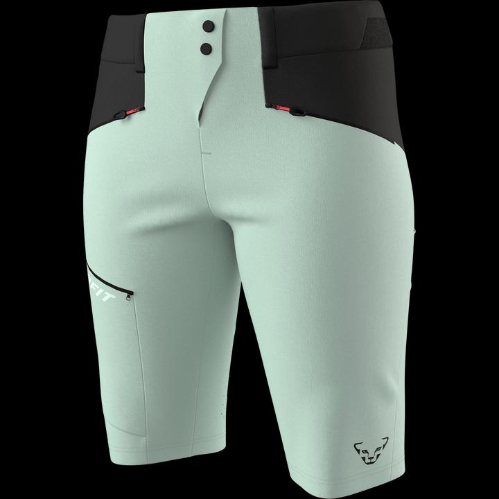 Actual product image Dynafit Transalper Dynastretch Shorts (M)