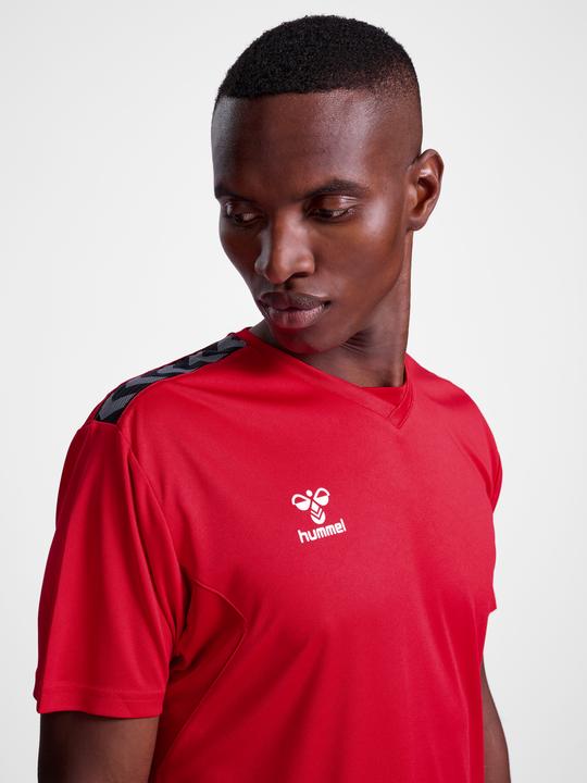Actual product image hummel Hmlauthentic Pl Jersey S/S (M)