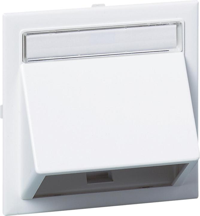 Produktbild Schneider Angled data cap for Wall