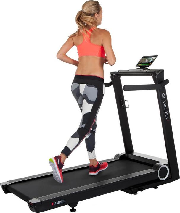 Actual product image Hammer Fitness Q. Vadis 7.0