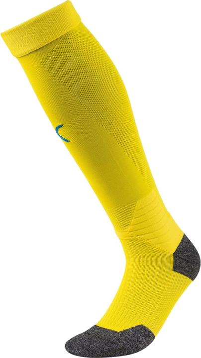 Actual product image Puma Team LIGA Socks-703438 (47, 49)