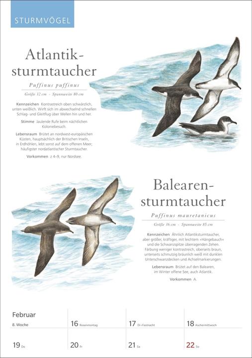 Immagine prodotto Harenberg KOSMOS Was fliegt denn da? Wochenplaner 2026 - Der Kalender zum KOSMOS-Naturführe (Tedesco)