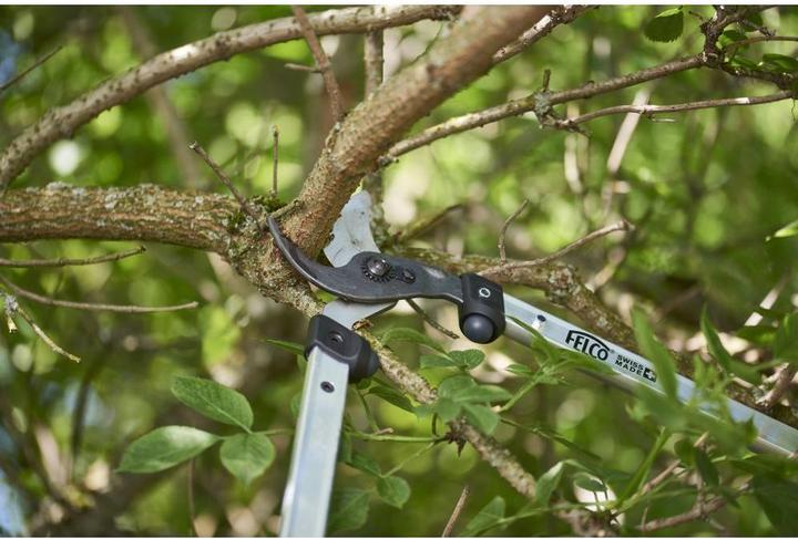 Actual product image Felco Branch shears 211-50