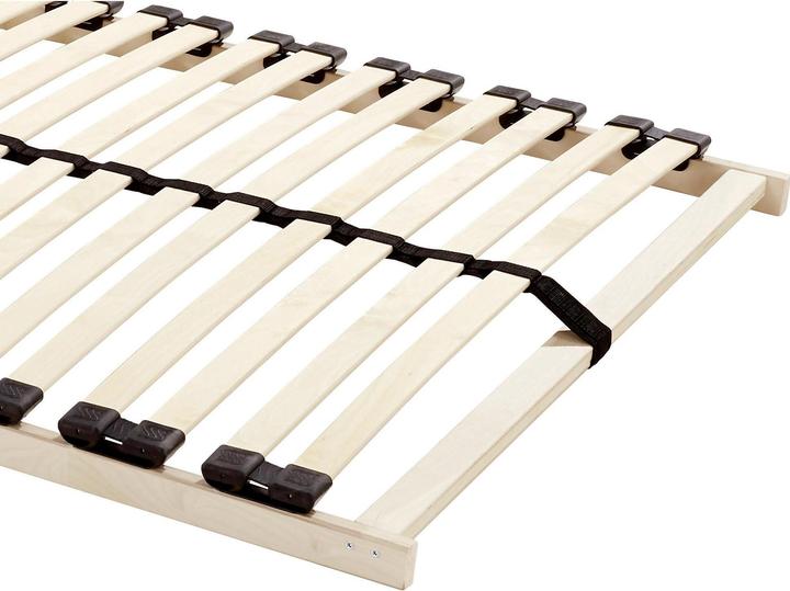 Actual product image Lipo Plaro