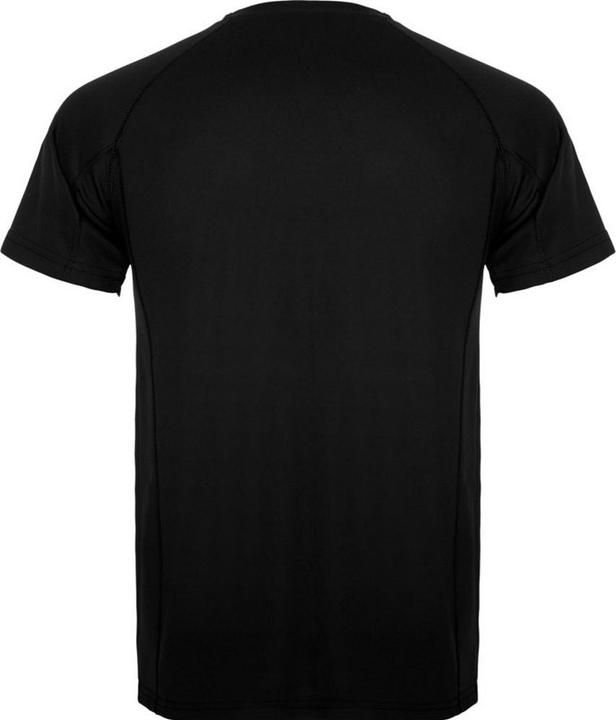Actual product image Alpinia Mens Montecarlo Short-Sleeved Sports T-Shirt (XL)