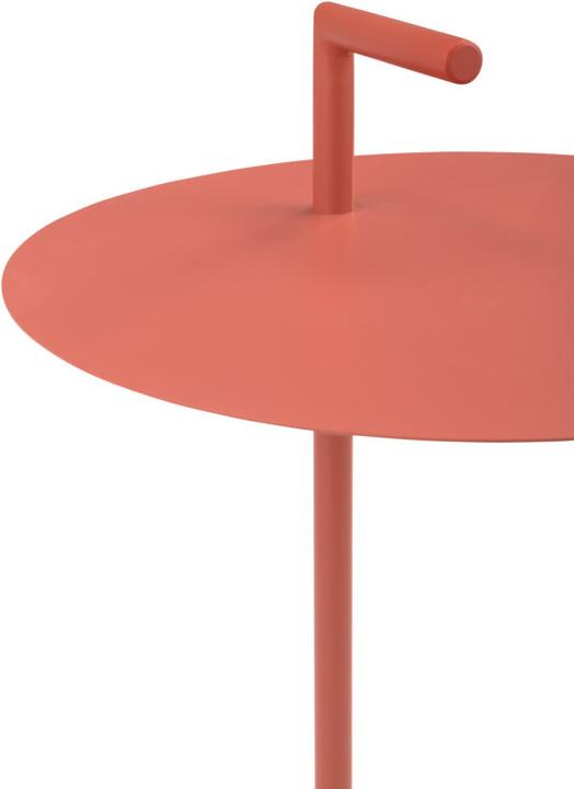 Immagine prodotto pfister Irene (40 x 60 cm)