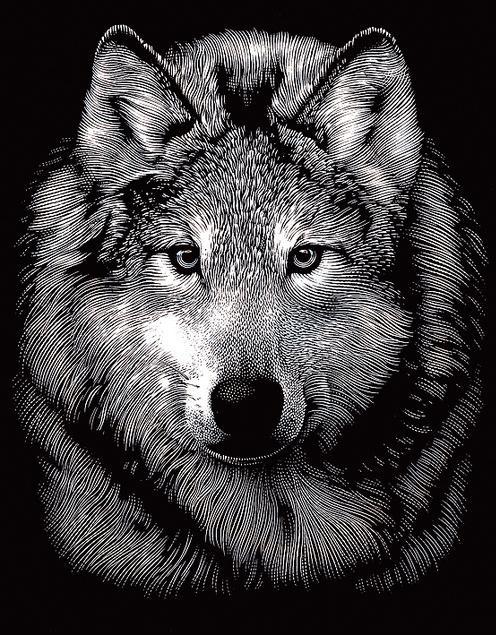 Image du produit Reeves International Image à gratter "Loup", argent, 11 x 18 cm