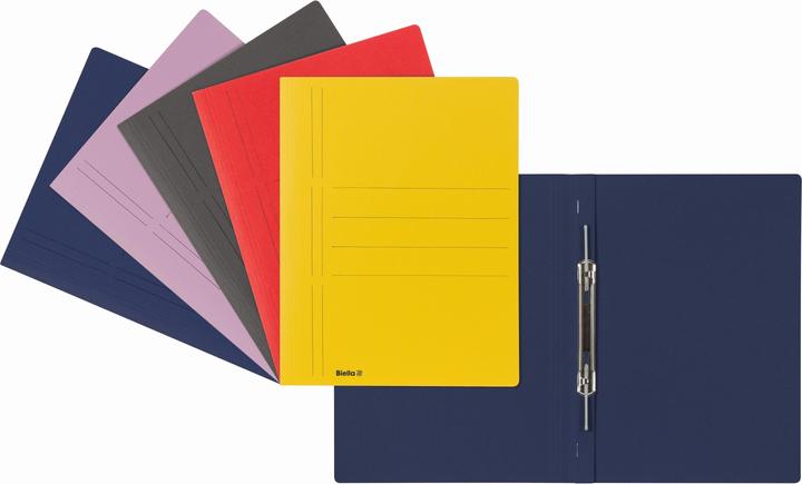 Actual product image Biella Recycolor loose-leaf binder (A4, 1 x)