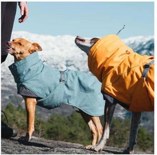 Image du produit Hurtta Expedition Parka buckthorn - hiver (45, Manteau pour chien)
