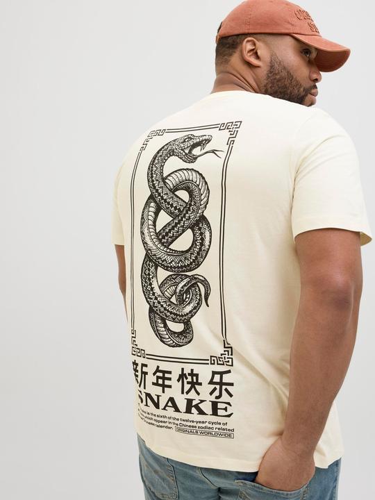 Actual product image Jack & Jones Plus Size Rückenprint T-shirt T-shirt (4XL)