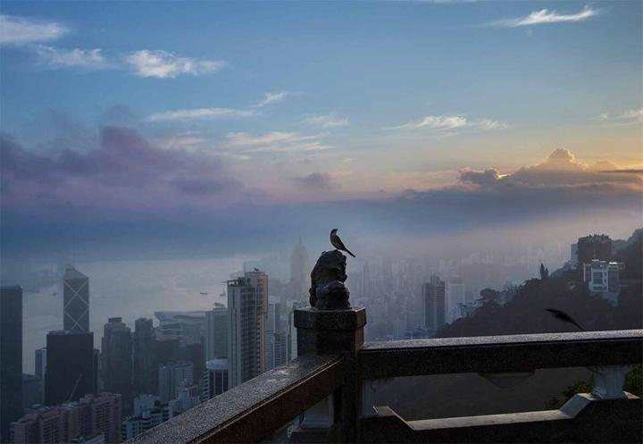 Produktbild Hongkong (Deutsch, Palani Mohan, 2024)