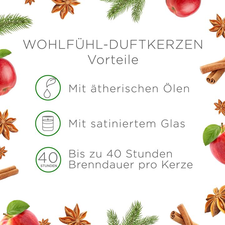Image du produit Air Wick Grande bougie parfumée bien-être Magie de cannelle + Pomme au four (220 g)