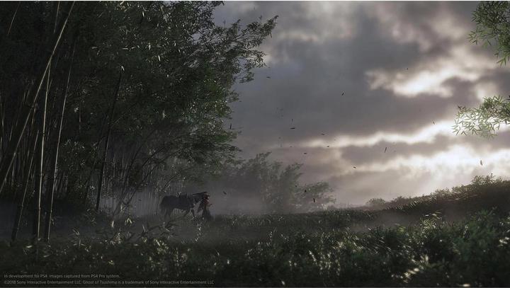 Actual product image Sony Ghost of Tsushima Director’s Cut (PS4, Multilingual)