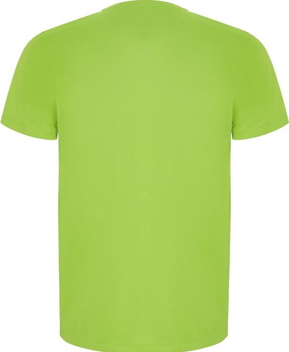 Immagine prodotto Alpinia Imola Maglietta Sportiva Maniche Corte Bambini (104)
