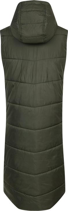 Actual product image Dare2b Womens/Ladies Distinguish Gilet (44 D)