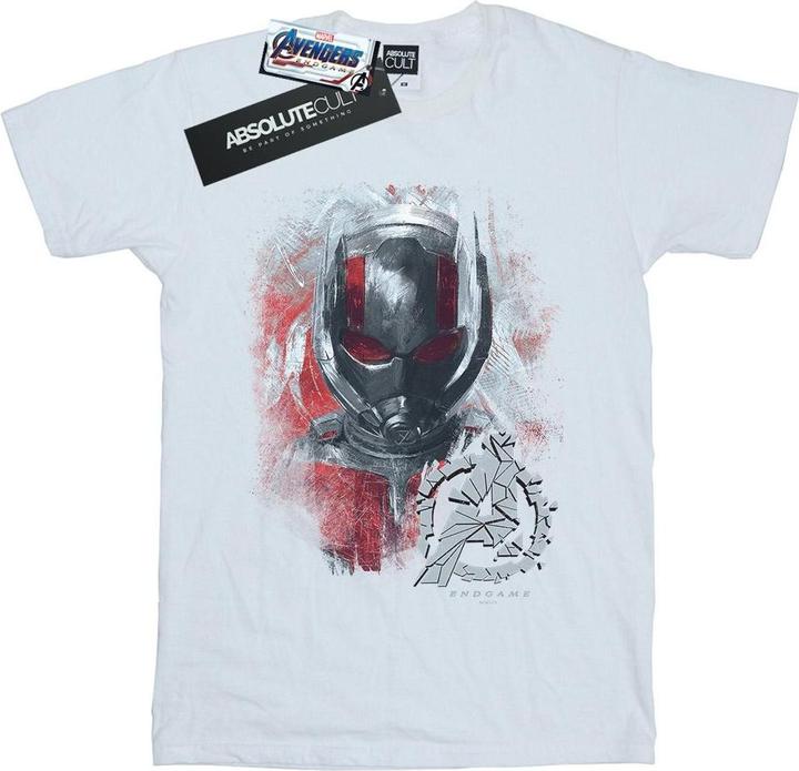 Actual product image Boys Avengers Endgame Ant-Man Brushed T-Shirt (140, 146)