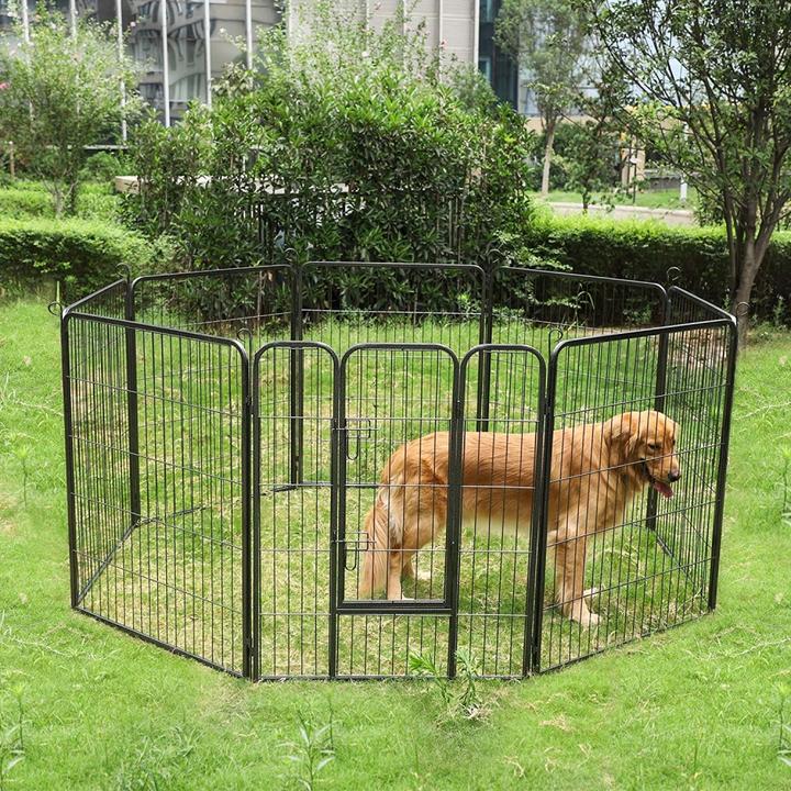 Immagine prodotto Feandrea Doggo