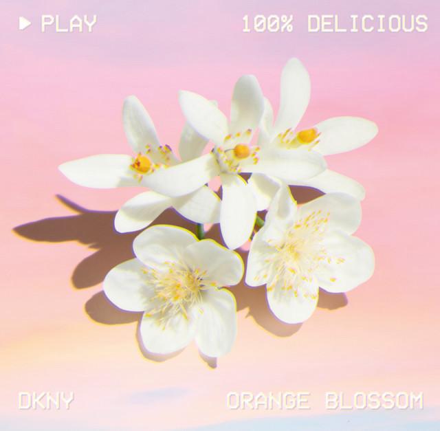 Produktbild DKNY Be 100% Delicious (Eau de Parfum, 50 ml)
