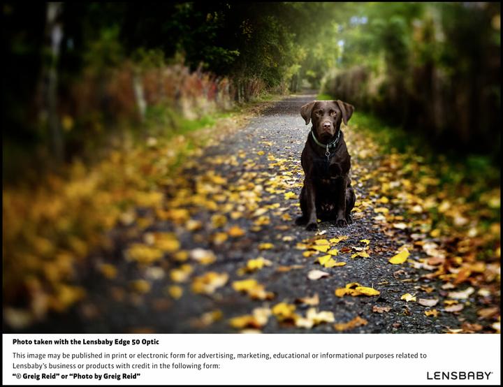 Produktbild Lensbaby Composer Pro II incl. Edge 50 Optic Nikon Z (Nikon Z, Vollformat)