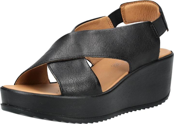 black/brown